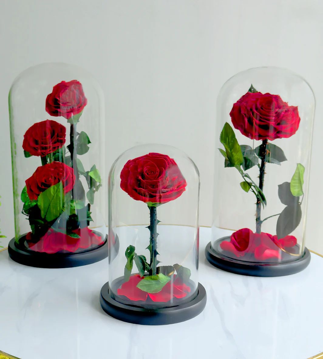 Combo of Preserved Forever Red Roses