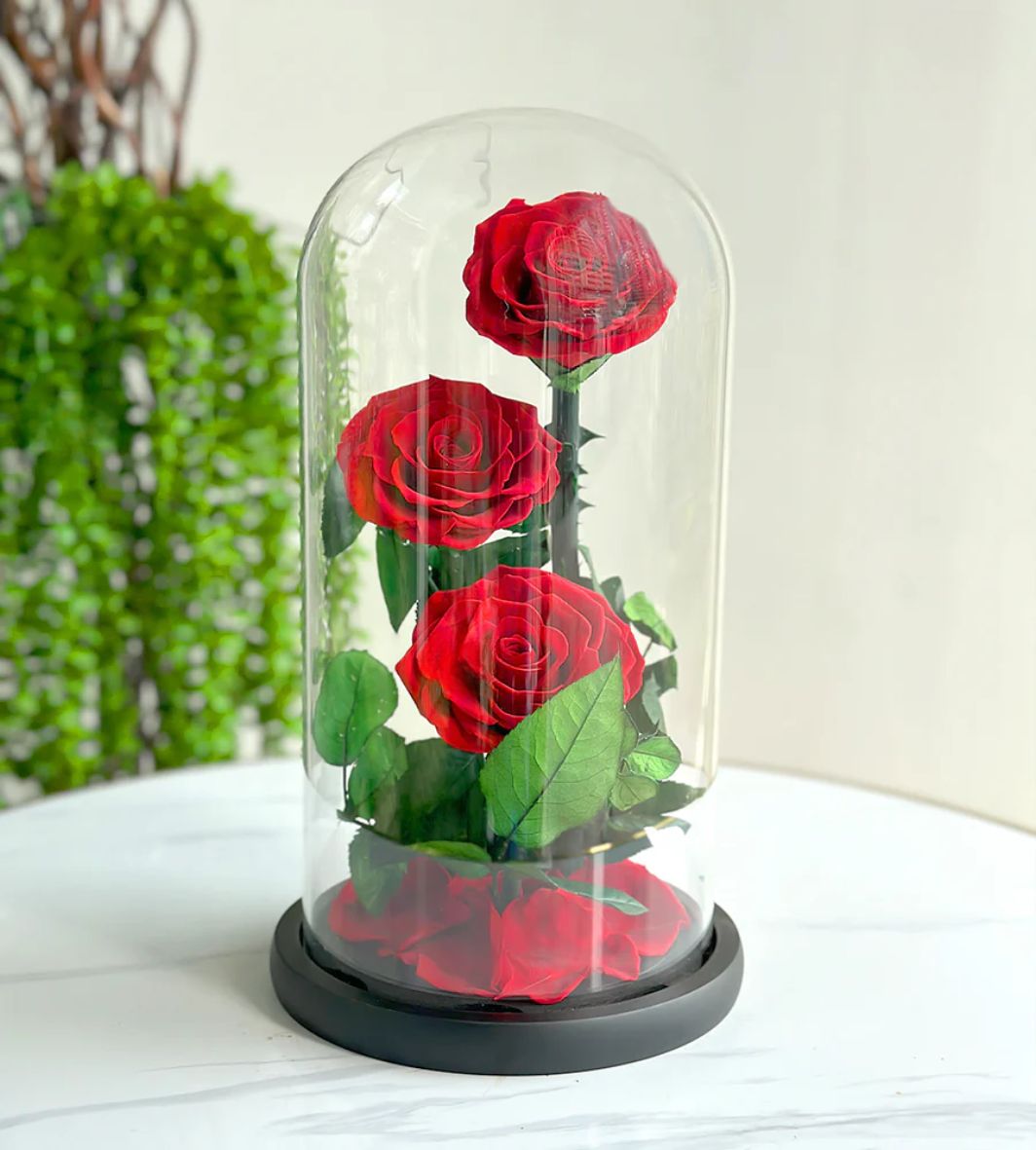 Forever Preserved Red Roses Large