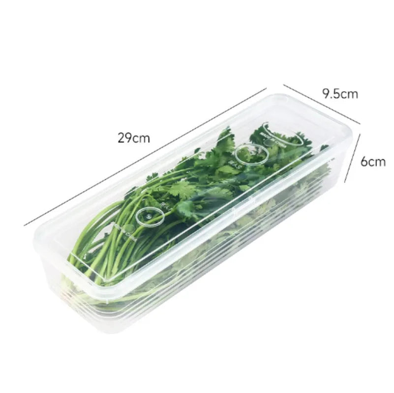 Airtight Refrigerator Storage Boxes – Keep Scallions, Fruits & Food Fresh, Sealed Organizers with Lid, Set of 1/5.