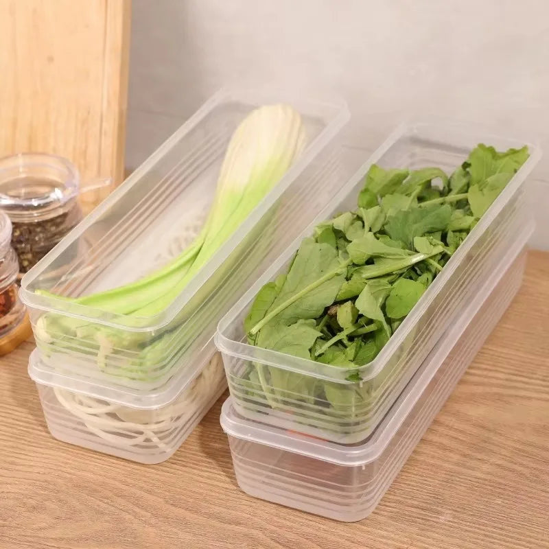 Airtight Refrigerator Storage Boxes – Keep Scallions, Fruits & Food Fresh, Sealed Organizers with Lid, Set of 1/5.