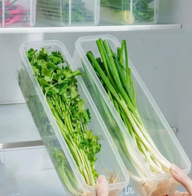 Airtight Refrigerator Storage Boxes – Keep Scallions, Fruits & Food Fresh, Sealed Organizers with Lid, Set of 1/5.