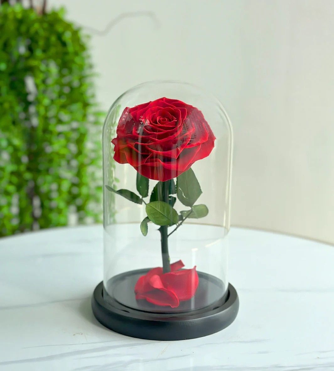 Forever Preserved Red Roses